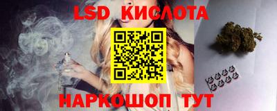 PSILOCYBIN Заводоуковск