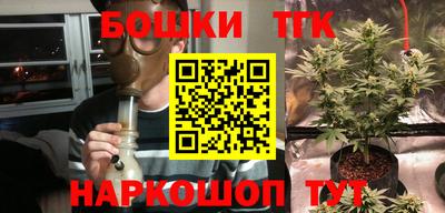 PSILOCYBIN Заводоуковск